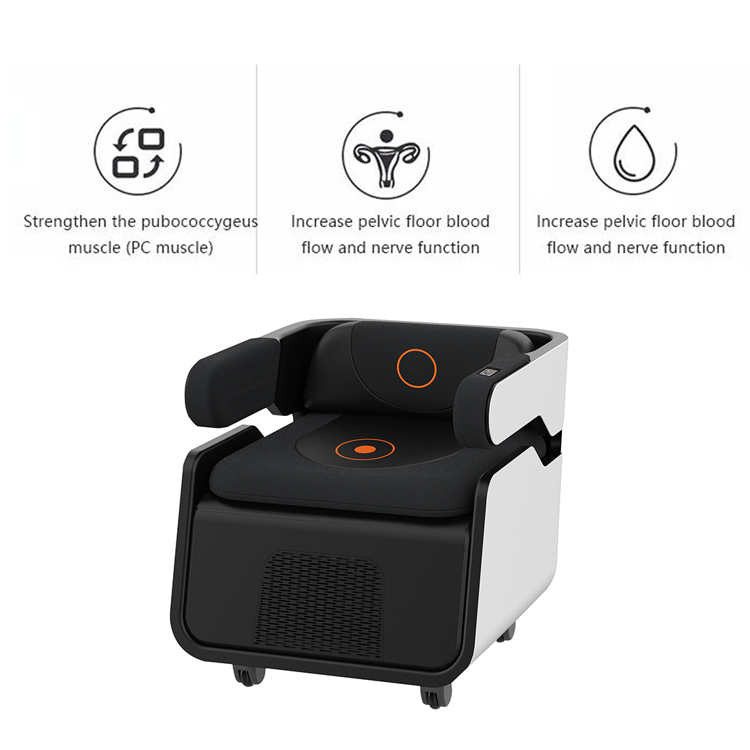 ems sculpting seat Muscle Stim - Gymnastics Beam Floor review and price