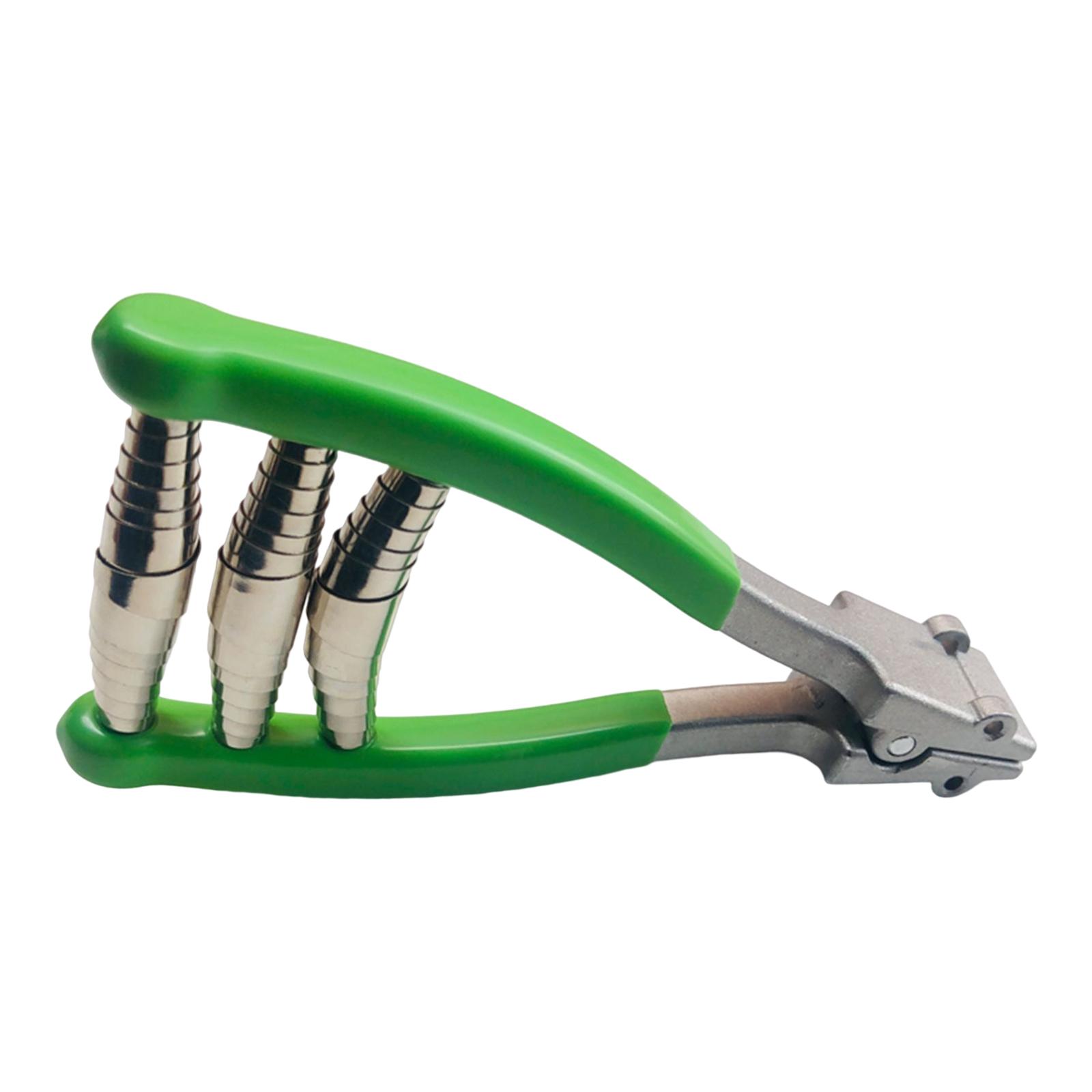 Sports Starting Clamp Badminto - Sports Equipment That Starts With A review and price