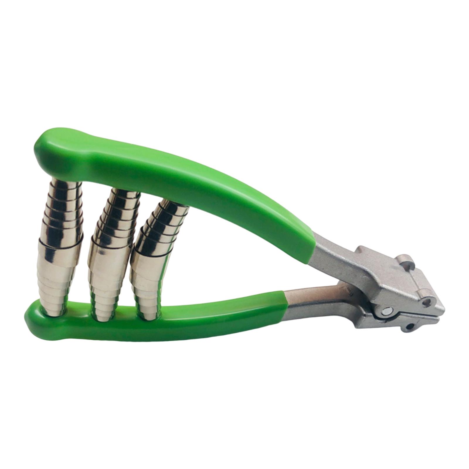Sports Starting Clamp Badminto - Sports Equipment That Starts With A review and price