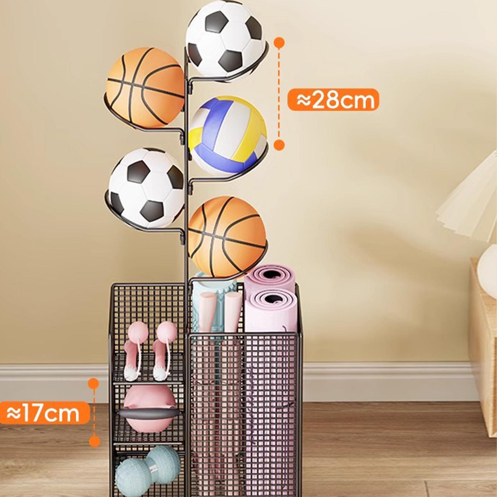 Ball Storage Rack Vertical Bas - Sports Equipment And Facilities review and price